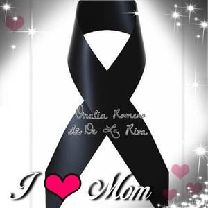 Meet your Posher, Noemi